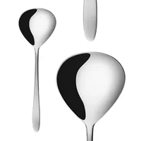 Sola Basic Alpha ladle Stainless steel
