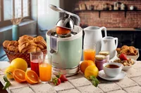 Ariete 413, Vintage Juicer, Professional Electric Juicer with Lever, 2 Cones for Large and Small Fruits, Anti-Drip Spout, Silent Motor, Professional Squeezing, Green