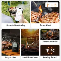 SONOFF Temperatursensor BMT01 Schwarz - Produkttyp: Temperatursensor - System-Kompatibilität: eWeLink App - Protokoll: WLAN - Systemkommunikation: Wireless - Detailfarbe: Schwarz