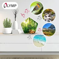 Olympia Sound of Nature Box 1 Stück