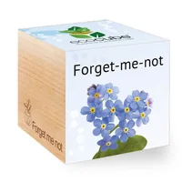 Feel Green 299429 flower seeds/bulbs