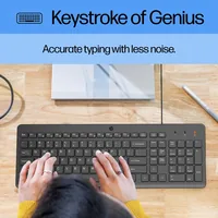 HP 150 Wired Mouse and Keyboard Tastatur Maus enthalten Heimbüro USB QWERTY Englisch Schwarz