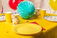 PRO nappe Einwegteller Geburtstag 10 Stück, Mehrfarbig - Produkttyp: Einwegteller - Materialtyp: Papier - Material: Karton - Detailfarbe: Mehrfarbig - Verpackungseinheit: 10 Stück