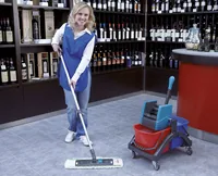 Leifheit Nasswischwagen Professional Duo 17 l, Mehrfarbig - Ausstattung Putzeimer: Zwei-Kammer-Eimer - Volumen: 17 l - Detailfarbe: Mehrfarbig - Material: Kunststoff