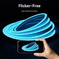 Vention Silicone Neon LED strip with remote control, 12V, 2m