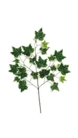 Dekomat AG Kunstpflanze Efeuzweig 70 x 40 cm, Grün/Weiss - Produkttyp: Schnittblumen und Zweige - Detailfarbe: Grün - Weiss - Detailmaterial: Kunstseide - Grundmaterial: Kunststoff
