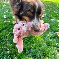 Kong Scrumplez Bunny M, 28 x 7 x 20 cm, rosa - Produkttyp: Plüsch-/Stofftier - Tierart: Hund