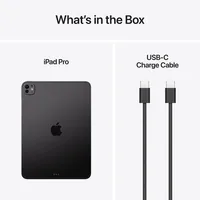 Apple iPad Pro 5G Apple M LTE-TDD & LTE-FDD 256 Go 27,9 cm (11") 12 Go Wi-Fi 7 (802.11be) iPadOS 26 Noir