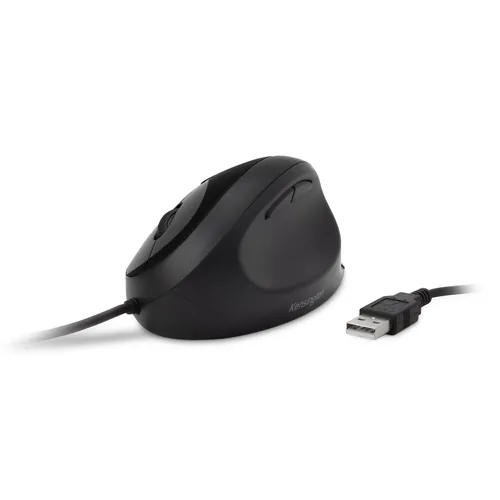 Kensington Pro Fit mouse