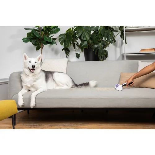 BLACK+DECKER Tierhaarentferner Weiss / Lila - Produkttyp: Tierhaarentfernung - Tierart: Katze - Hund