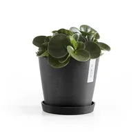 Ecopots Unterteller Rund 20, Dunkelgrau - Detailfarbe: Dunkelgrau - Material: Recycling-Kunststoff
