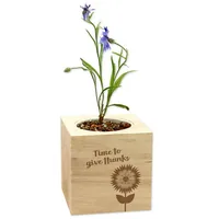Feel Green 292550 flower seeds/bulbs Cornflower