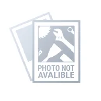 Graphite 58G097 vacuum