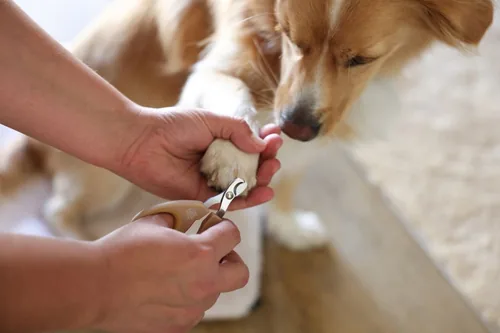 Kerbl Krallenschere MagicBrush - Produkttyp: Krallenpflege - Tierart: Hund