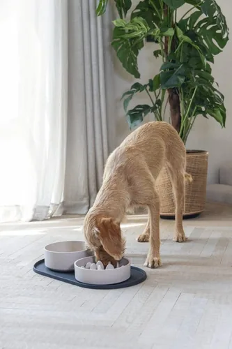 Designed by Lotte Platzset Oona Anthrazit, 45 cm x 25 cm - Produkttyp: Napfunterlage - Tierart: Hund - Katze - Material: Silikon