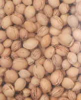 I am Creative 2520.03 dried seeds 500 g