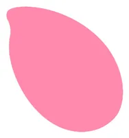 Reslin Farbpigmente Tinte 20 ml, Rosa - Zubehörart Basteln: Farbpigmente
