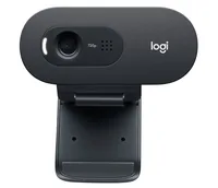 Logitech C505 - Webcam - Farbe - 720p - feste Brennweite