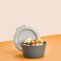 Koziol Schale Move Box mit Deckel 700 ml, Grau - Unterteilungsmöglichkeit: Nein - Material: Biozirkulärer Kunststoff - Detailfarbe: Grau - Set: Nein - Form: Rund