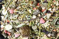 JR Farm Hauptfutter Basic Degu-Schmaus, 1.6 kg - Nagetierart: Degu - Verpackungsgrösse: 1.6 kg - Tierart: Nager