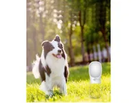 FTM Trinkflasche Türkis, 350 ml - Zubehörtyp: Essen und trinken - Tierart: Hund