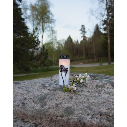 Star Trading LED Grabkerze Löwenzahn, Ø 7 x 21 cm, Weiss - Betriebsart: Akkubetrieb - Batteriebetrieb - Aussenanwendung: Ja - Höhe: 21 cm - Timerfunktion: Ja - Set: Nein - Farbe: Weiss