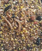 Versele Laga Vogelfutter MN Nesting Blend 2.5 kg - Packungsgrösse: 2.5 kg - Tierart: Vogel - Saison: Alljahresfutter - Produkttyp: Streufutter