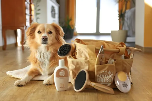 Kerbl Krallenschere MagicBrush - Produkttyp: Krallenpflege - Tierart: Hund