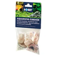 Hobby Aquaristik Dekoration Sea Shells Set, L, 5 Stück - Einrichtung: Figuren & Gegenstände - Material: Kunststoff