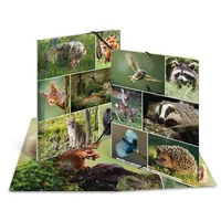 HERMA 19341 ring binder A4 Multicolour