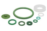 Birchmeier Dichtungssatz zu Profi Star 5 - Produkttyp: Dichtungssatz