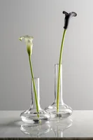 Leonardo Vase Aria 17 cm, Transparent - Assortiert: Nein - Höhe: 17 cm - Detailfarbe: Transparent - Detailmaterial: Kalk-Natron-Glas - Grundmaterial: Glas