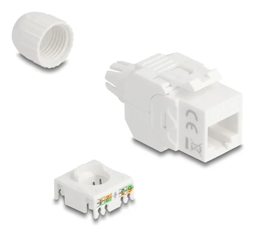 Delock Keystone-Modul RJ45 Buchse zu LSA Cat.6A UTP 180° - Modultyp: Keystone - Anschluss Front: Buchse RJ-45 - Anschluss Rück: LSA - Medientyp: Netzwerk - Schirmung: Nein - Detailfarbe: Weiss