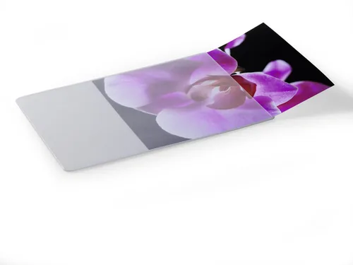 DURABLE Mouse Pad Plus mit Fotoeinschub grautransp