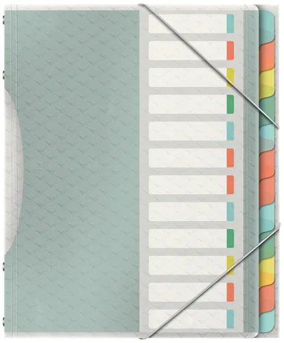 Esselte Colour'Breeze Divider Book with 12 Tabs