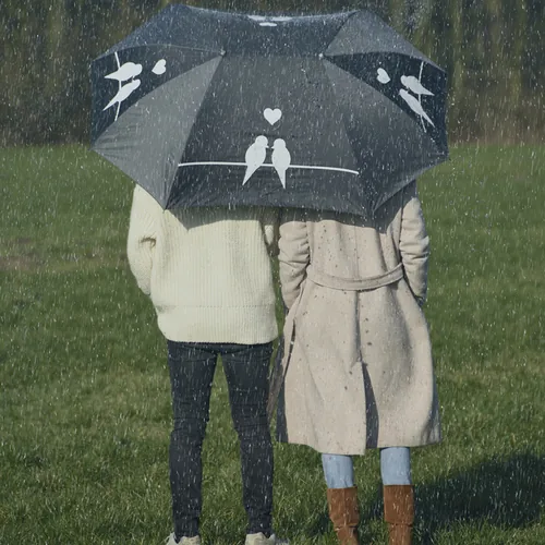 Esschert Design Partner-Regenschirm XL Grau/Schwarz - Schirmtyp: Langschirm - Eigenschaften: Keine Eigenschaft - Zertifikate: Keine Zertifizierung - Länge: 73.5 cm - Schirm-Eigenschaften: Keine - Farbe: Grau - Schwarz