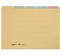BIELLA Registermappe A4 32543200U farbig assort., 190 Bl. 5 Stk.