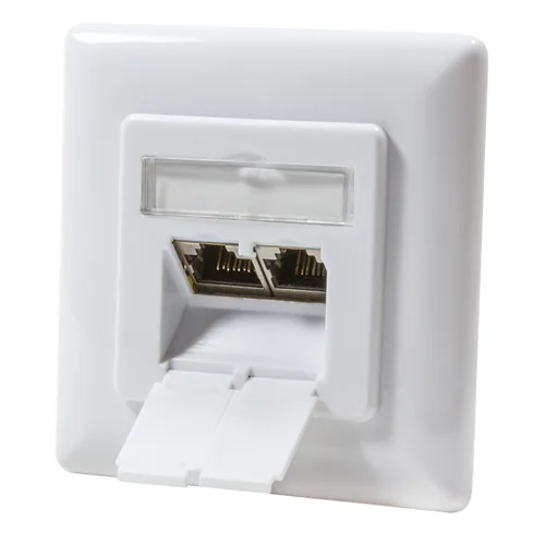 Logilink Cat.6A Anschlussdose, 2x RJ45,weiß, waagerecht