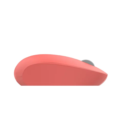 Inca IWM-241RT mouse Office Right-hand RF Wireless