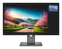 ThinkVision P32UD-40 (80 cm (31.5 Zoll), schwarz, UltraHD/4K, IPS, HDMI, DP, Thunderbolt 4, USB-Hub, 120Hz Panel)