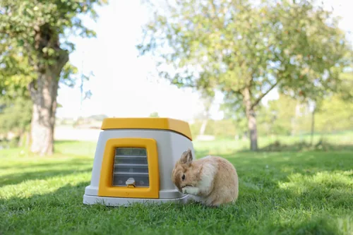 Kerbl Kaninchenheim Bunny Base ohne Erdteil - Nagetierart: Kaninchen - Tierart: Kaninchen