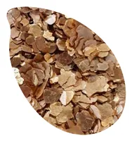 Reslin Eco glitter 15g - Extra large gold
