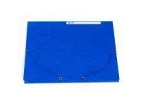 Exacompta 3 flap folder with label, A4 Green