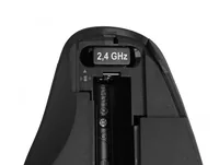 DELOCK Ergonomische USB Maus - kabellos