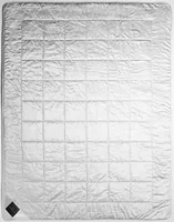 Billerbeck Sari 1 pc(s) Silk 160 x 210 cm