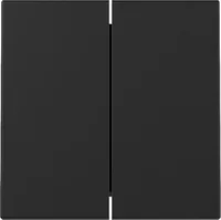 GIRA 3295005 Wippe 2f System 55 Schwarz m