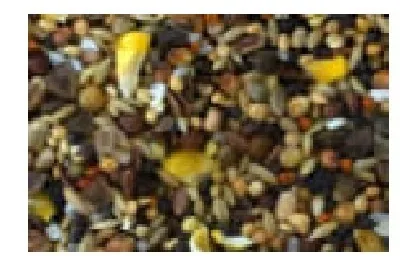 Eric Schweizer Turteltaubenfutter, 1 kg - Packungsgrösse: 1 kg - Tierart: Taube - Saison: Alljahresfutter - Produkttyp: Hauptfutter
