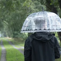 Esschert Design TP321 umbrella Black, Multicolour, Transparent Steel Full-sized Rain umbrella