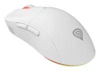 GENESIS Zircon XIII white