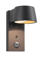 Paulmann Wandleuchte Capea 230 V Anthrazit - Dimmbar: nicht dimmbar - Lichtfarbe: Warmweiss (WW) - Zusätzliche Ausstattung: Bewegungssensor - Farbtemperatur Kelvin: 2200 bis 3000 K - Leuchtenfarbe: Anthrazit - Lichtausbeute: 96.7 lm/W